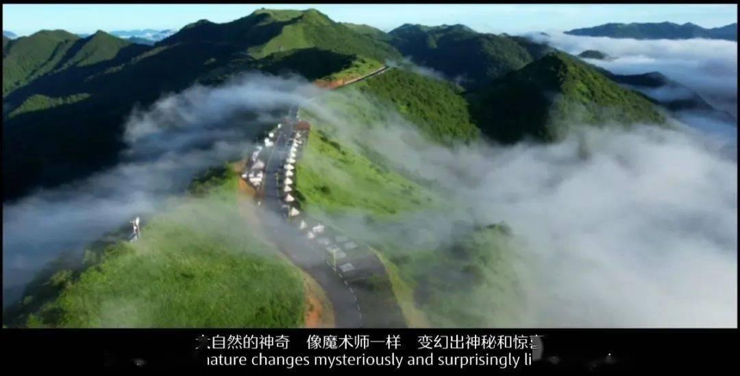 你觉得夫妻之间该不该明算帐？为什么？游戏画面